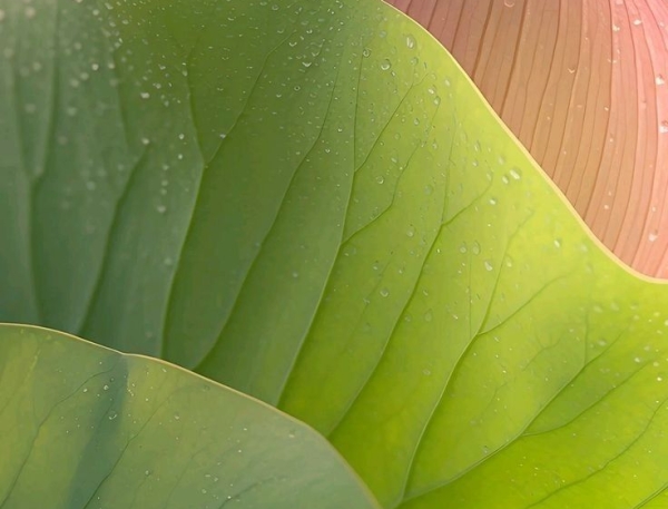 Ann Test sản phẩm